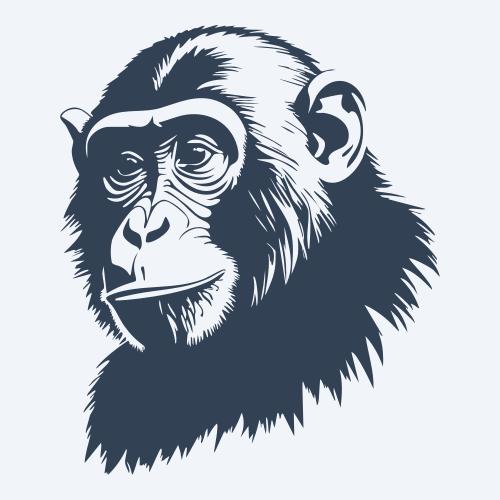 a monkey graphic