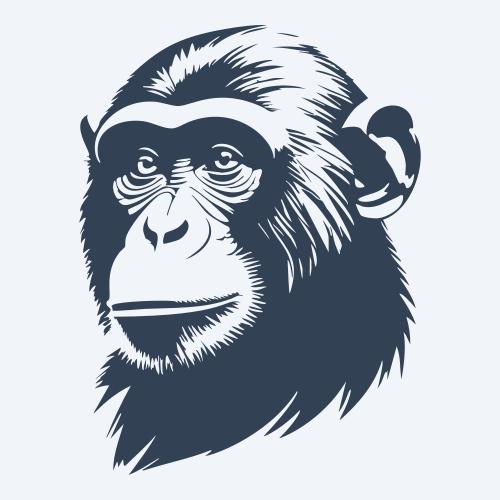 a monkey graphic