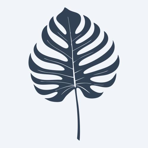 a monstera leaf vector