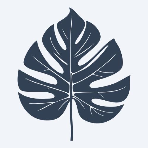 a monstera leaf vector