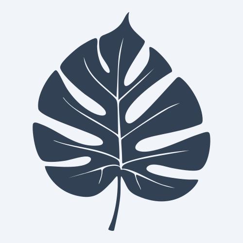 a monstera leaf vector