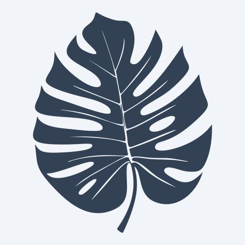 a monstera leaf vector