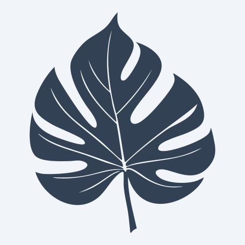 a monstera leaf vector