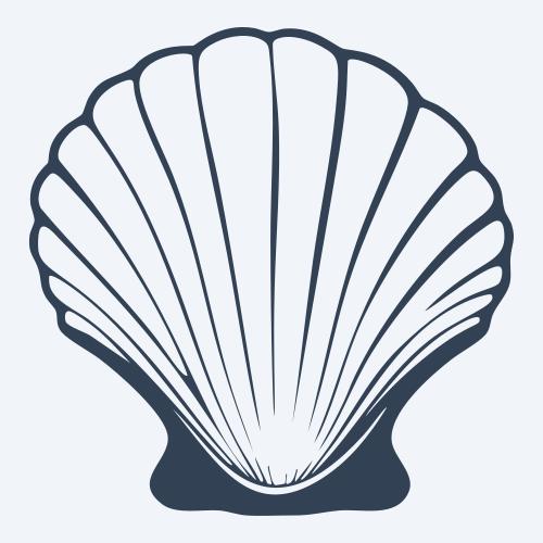 a seashell graphic