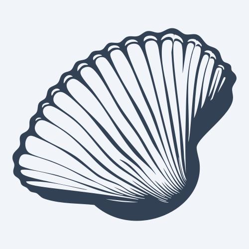 a seashell graphic