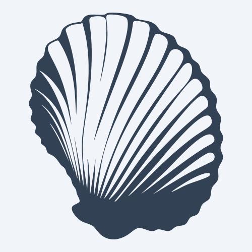 a seashell graphic