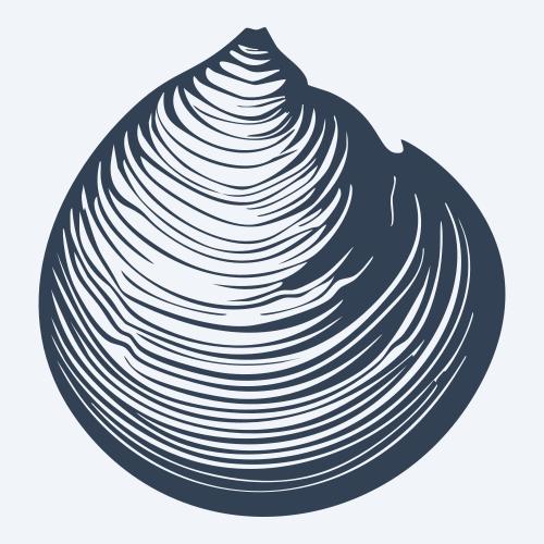 a seashell graphic