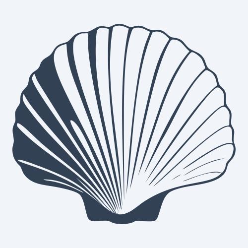 a seashell graphic