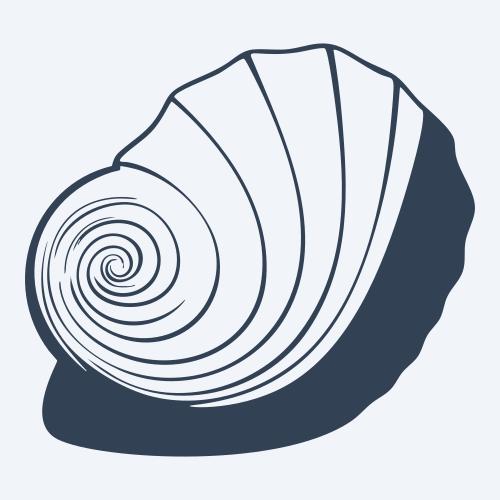 a seashell graphic
