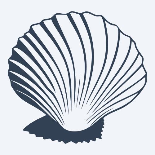 a seashell graphic