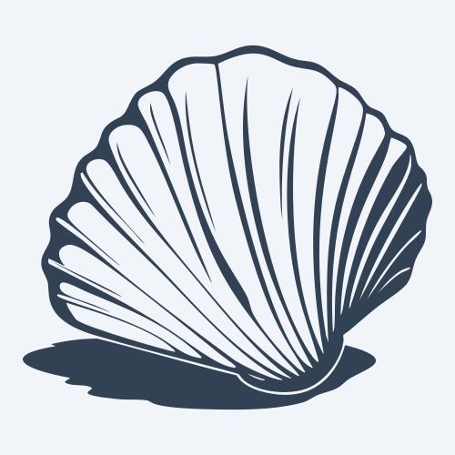 a seashell graphic
