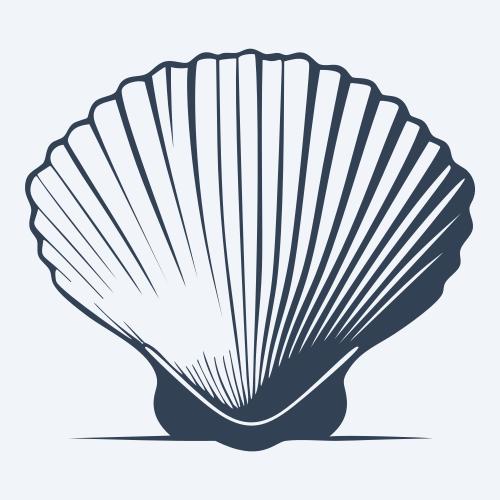 a seashell graphic