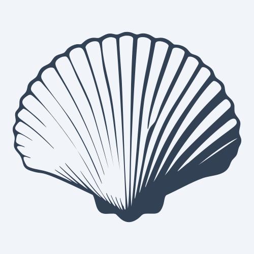 a seashell graphic