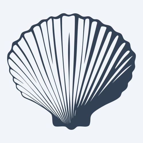 a seashell graphic