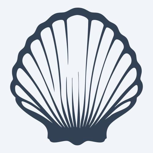 a seashell graphic