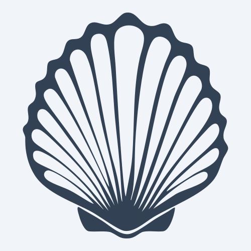 a seashell graphic