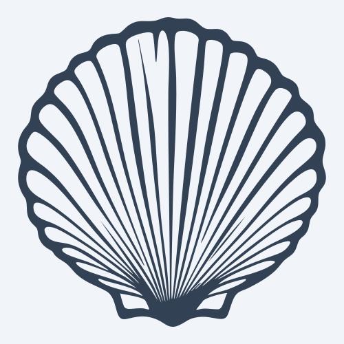 a seashell graphic