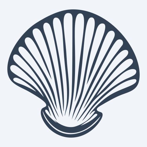 a seashell graphic