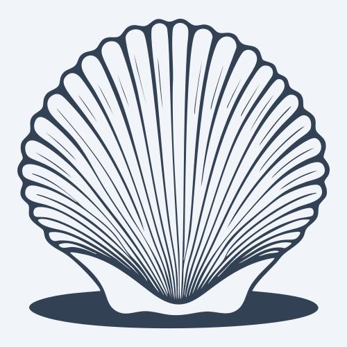 a seashell graphic
