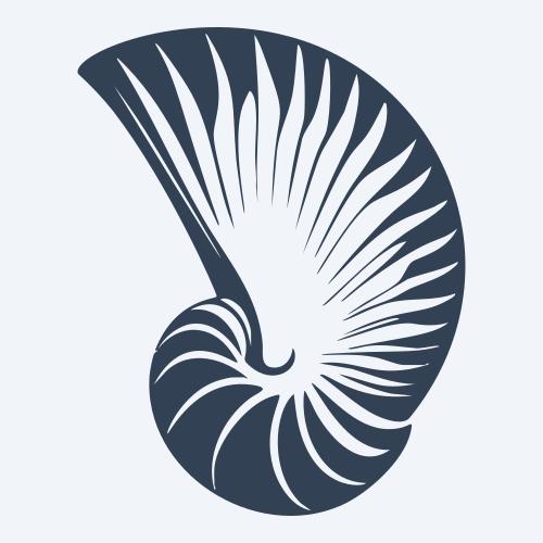 a seashell graphic