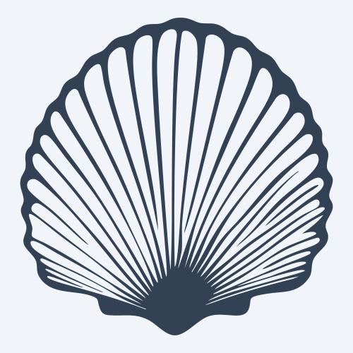 a seashell graphic