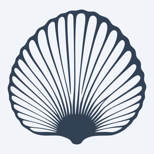 a seashell graphic