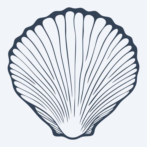 a seashell graphic