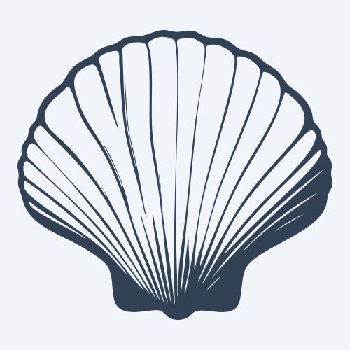 a seashell graphic