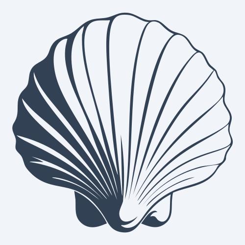 a seashell graphic
