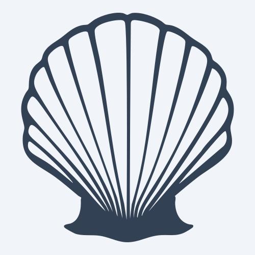a seashell graphic
