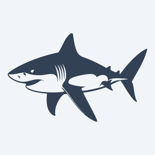 a shark graphic