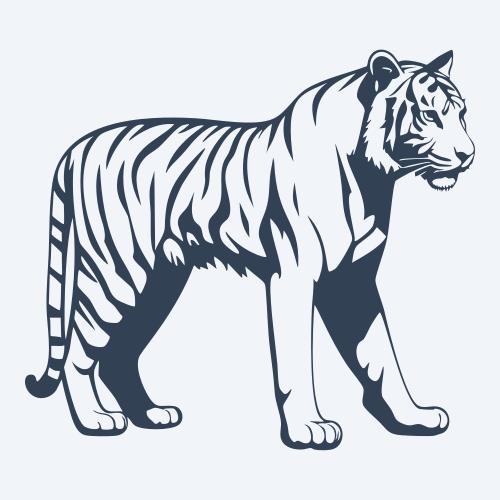 a tiger vector