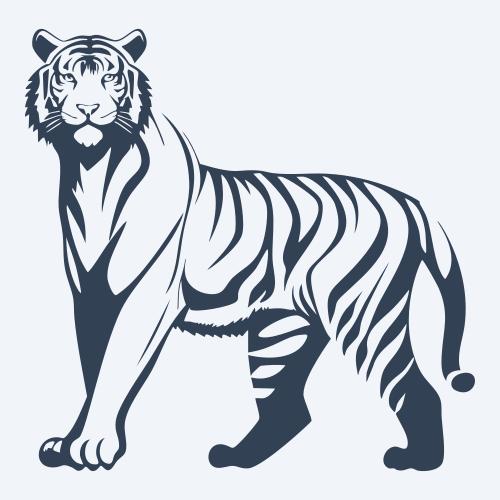 a tiger vector