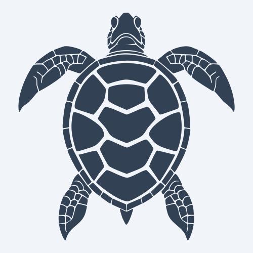 a turtle vector