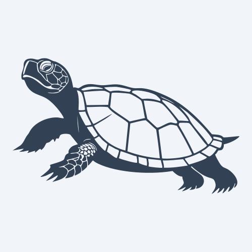 a turtle vector