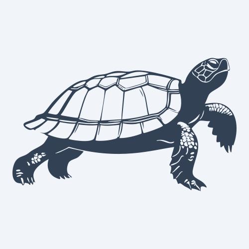 a turtle vector