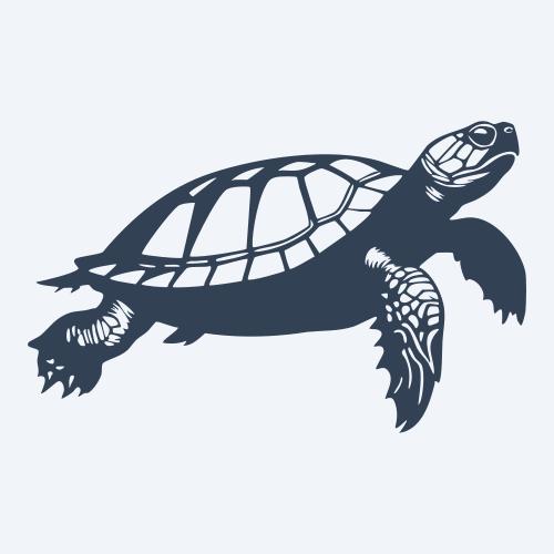 a turtle vector